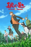 Silver Spoon